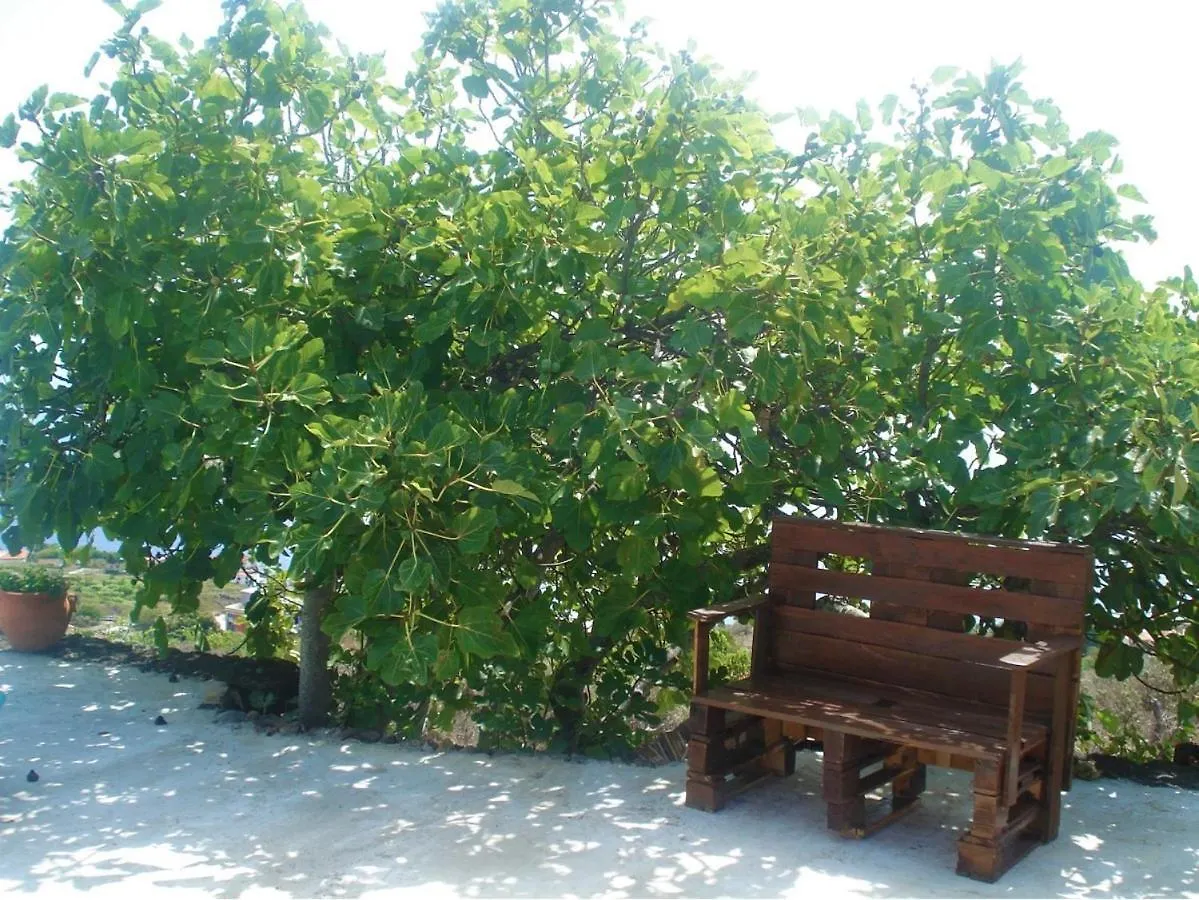 Casa Los Volcanes Tigalate Holiday home